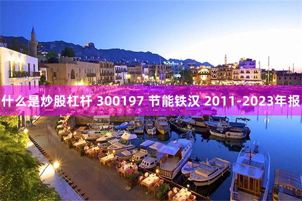 什么是炒股杠杆 300197 节能铁汉 2011-2023年报