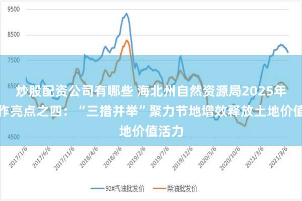 炒股配资公司有哪些 海北州自然资源局2025年度工作亮点之四：“三措并举”聚力节地增效释放土地价值活力