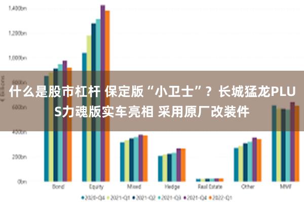 什么是股市杠杆 保定版“小卫士”？长城猛龙PLUS力魂版实车亮相 采用原厂改装件