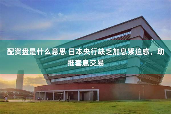 配资盘是什么意思 日本央行缺乏加息紧迫感，助推套息交易
